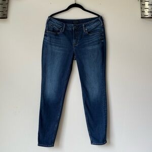 Silver Jeans Blue Skinny Denim